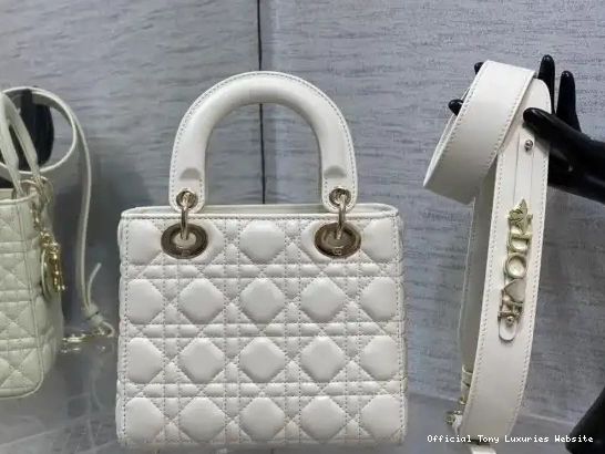 Tony Luxuries LADY DI0R-20CM 0620